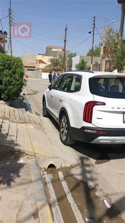 کیا تێلوراید